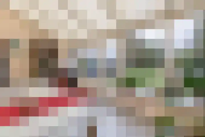 Hei 9 Baarlo thumbnail 11