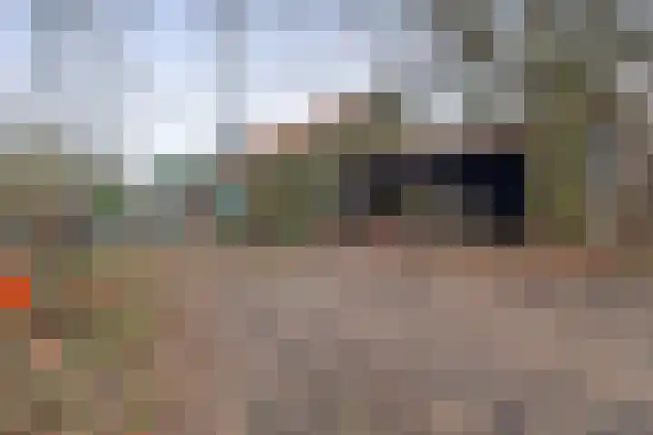 Hei 9 Baarlo thumbnail 14