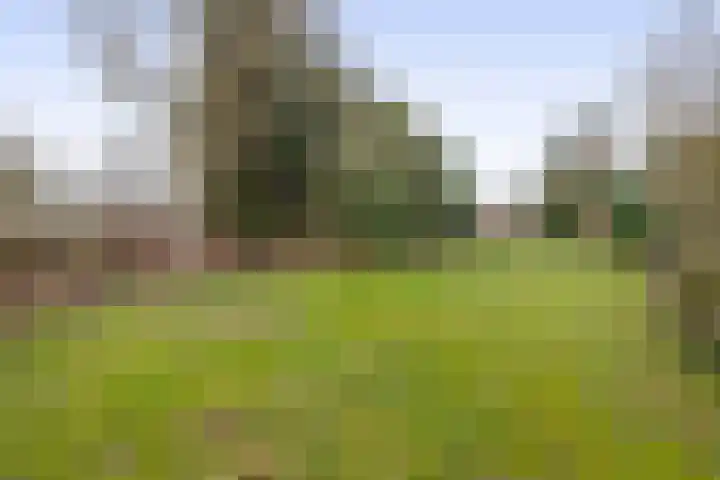 Hei 9 Baarlo thumbnail 18