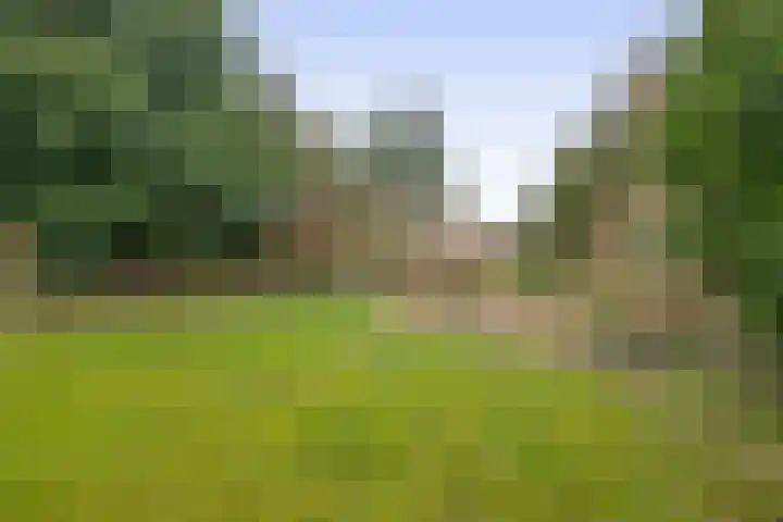 Hei 9 Baarlo thumbnail 19