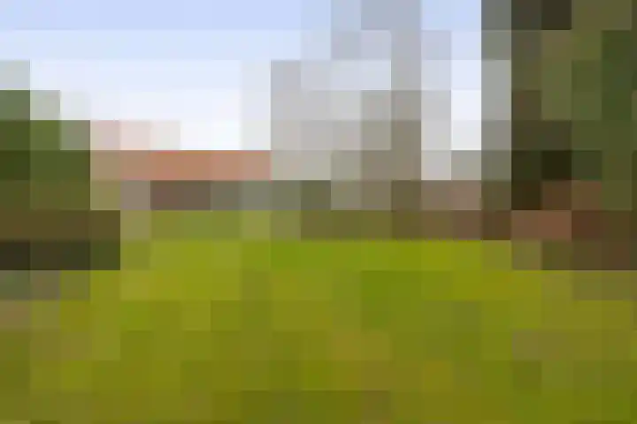 Hei 9 Baarlo thumbnail 20