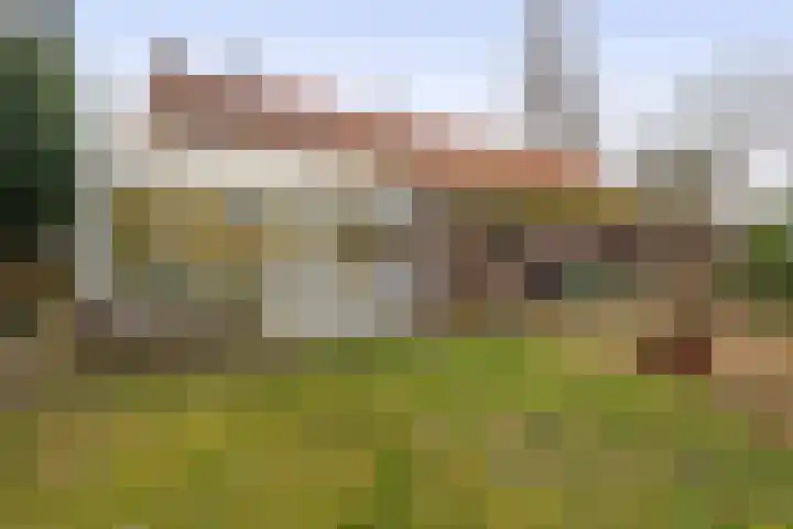 Hei 9 Baarlo thumbnail 21