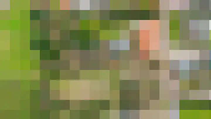 Hei 9 Baarlo thumbnail 22