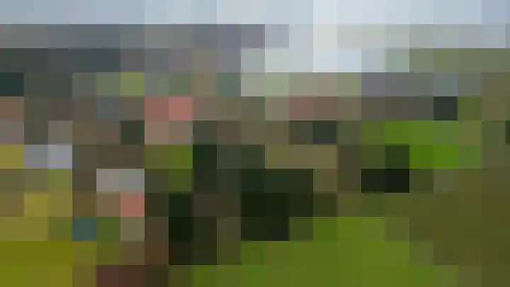Hei 9 Baarlo thumbnail 24