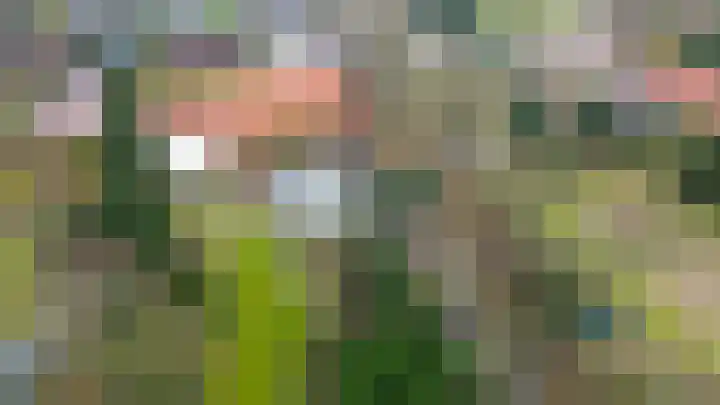Hei 9 Baarlo thumbnail 25