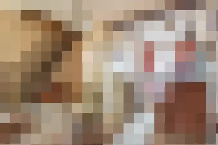 Hei 9 Baarlo thumbnail 5
