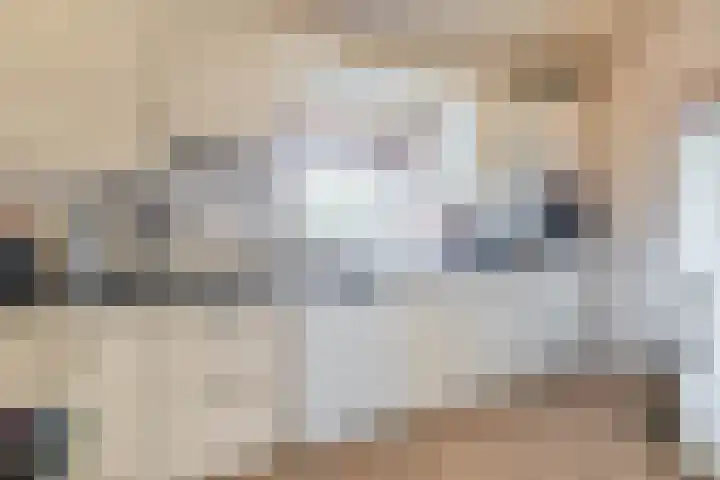 Hei 9 Baarlo thumbnail 7