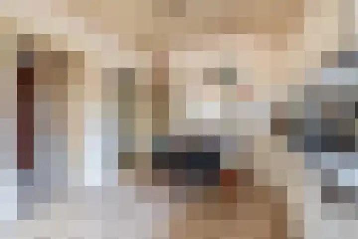 Hei 9 Baarlo thumbnail 8