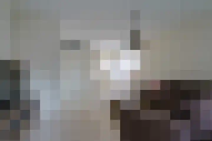 Heiakker 19 Helmond thumbnail 15