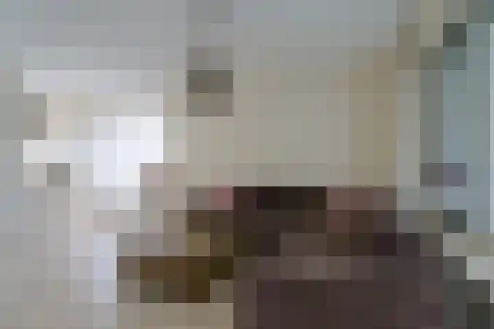 Heiakker 19 Helmond thumbnail 16