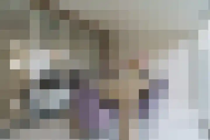 Heiakker 19 Helmond thumbnail 4