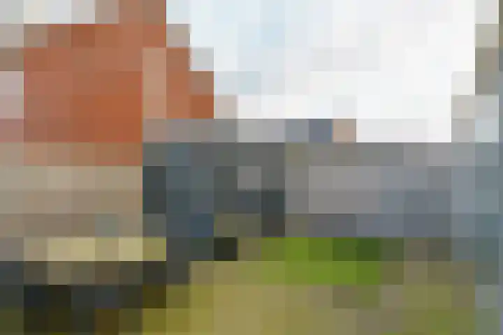 Heiakker 19 Helmond thumbnail 46