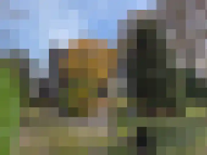 Heibloem 22 Eersel thumbnail 29