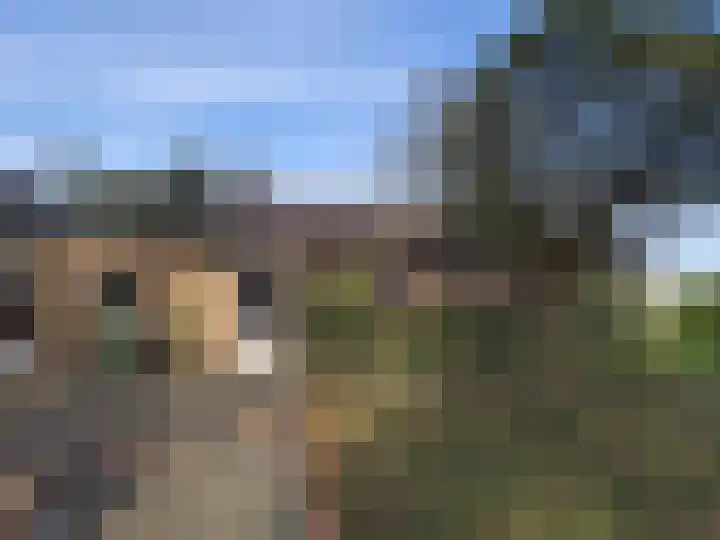 Heibloem 22 Eersel thumbnail 31