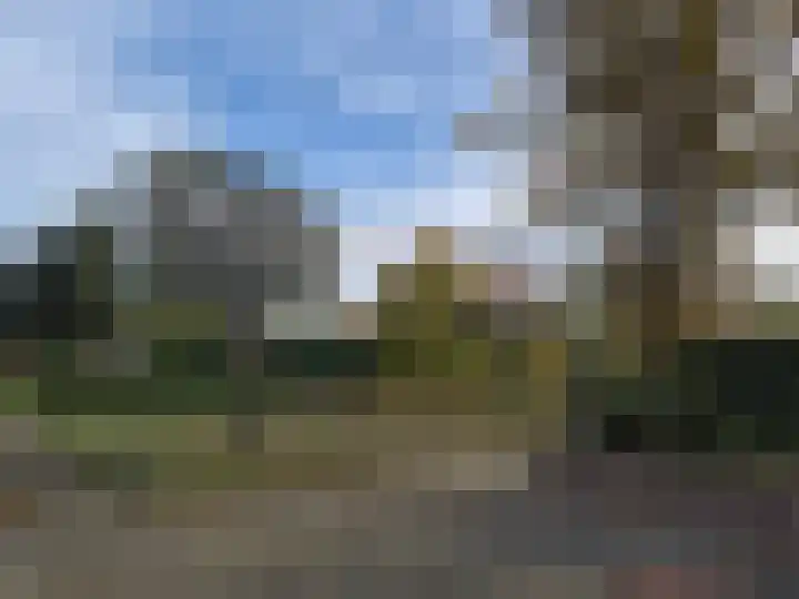 Heibloem 22 Eersel thumbnail 33