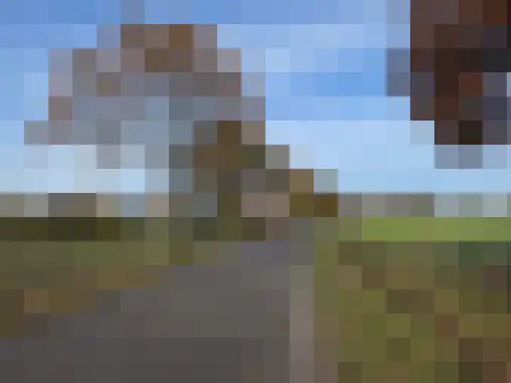 Heibloem 22 Eersel thumbnail 5