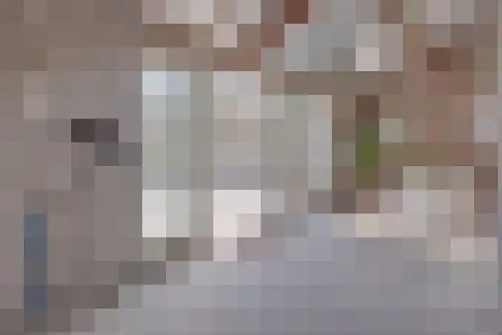 Heide 16 Swalmen thumbnail 15