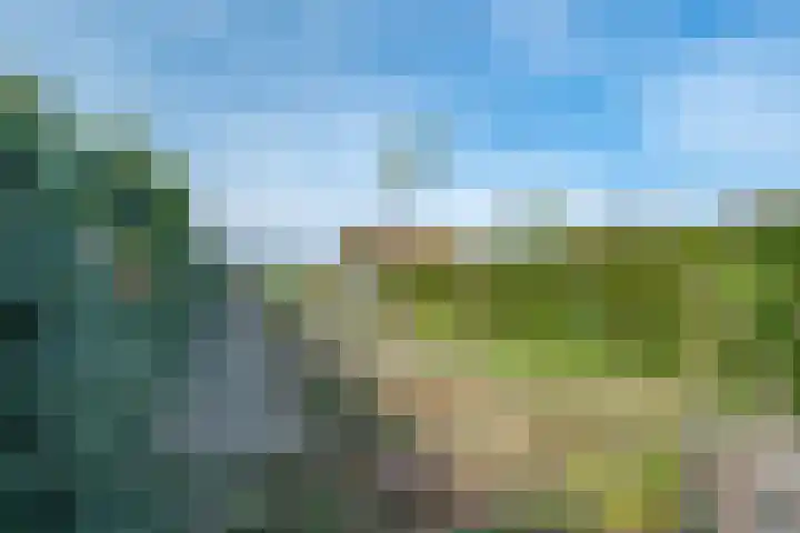 Heide 16 Swalmen thumbnail 33