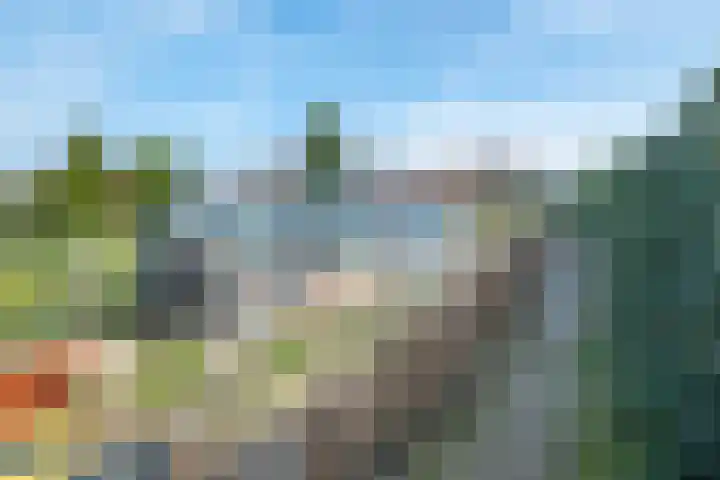 Heide 16 Swalmen thumbnail 35