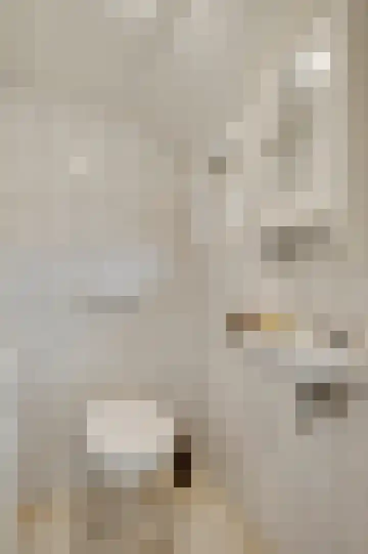 Heide 17 Roggel thumbnail 18