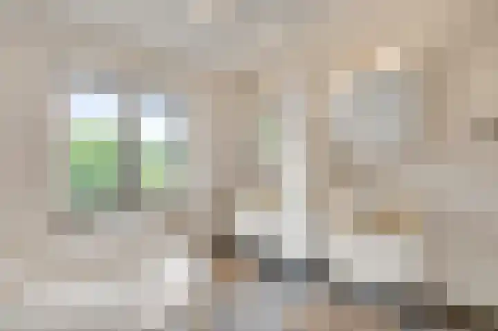Heide 17 Roggel thumbnail 27