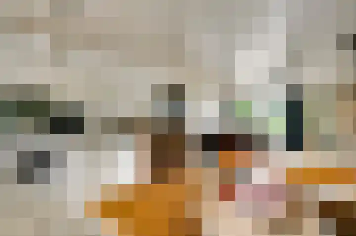 Heide 17 Roggel thumbnail 33