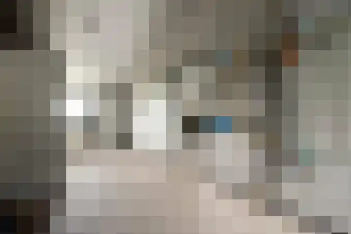 Heide 17 Roggel thumbnail 43