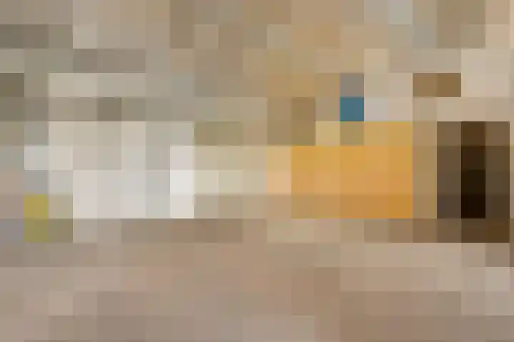 Heide 17 Roggel thumbnail 47