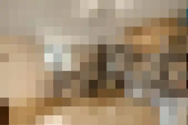 Heide 17 Roggel thumbnail 50