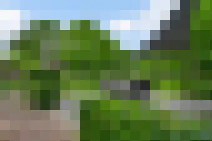 Heide 17 Roggel thumbnail 58
