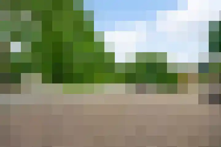 Heide 17 Roggel thumbnail 60