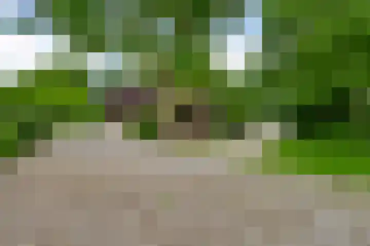 Heide 17 Roggel thumbnail 61
