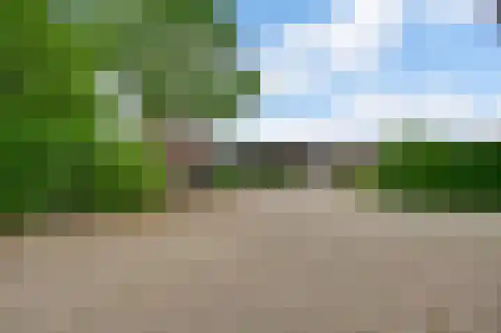 Heide 17 Roggel thumbnail 63