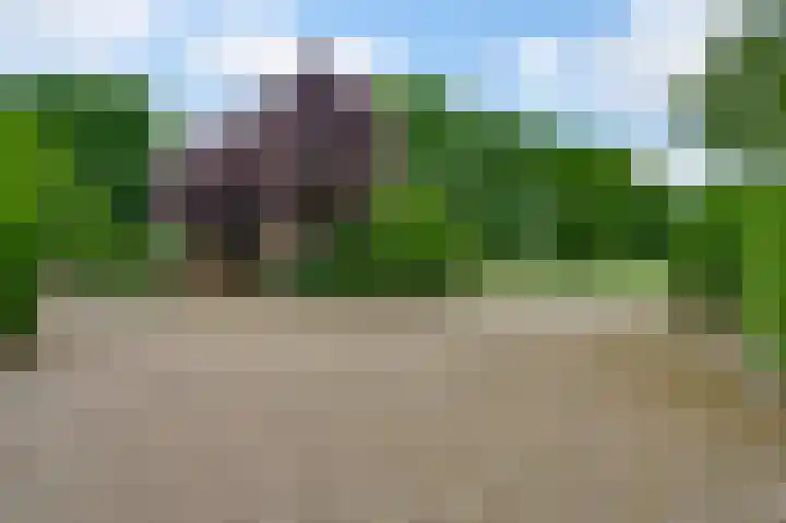 Heide 17 Roggel thumbnail 64