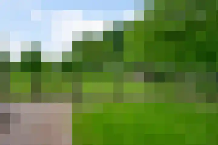 Heide 17 Roggel thumbnail 66