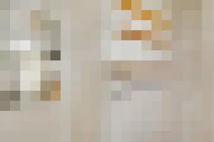 Heide 17 Roggel thumbnail 7