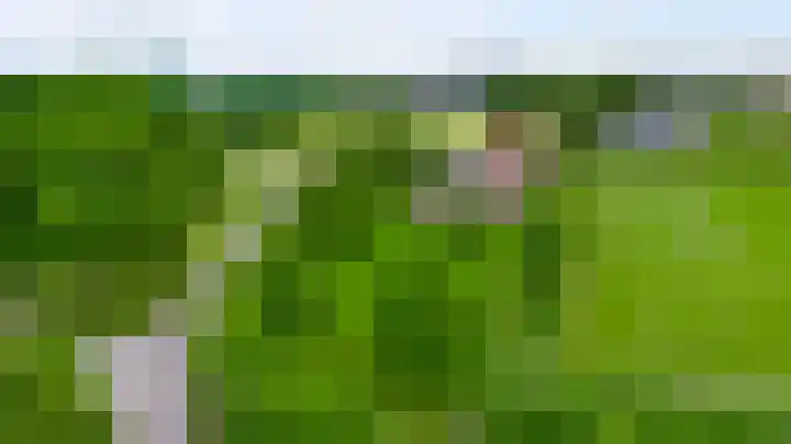 Heide 17 Roggel thumbnail 71