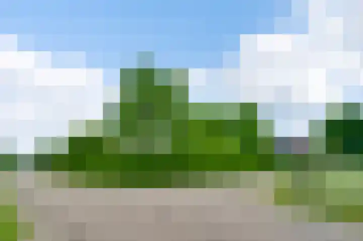 Heide 17 Roggel thumbnail 77