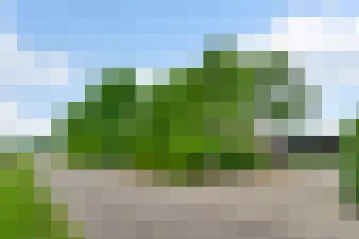 Heide 17 Roggel thumbnail 78