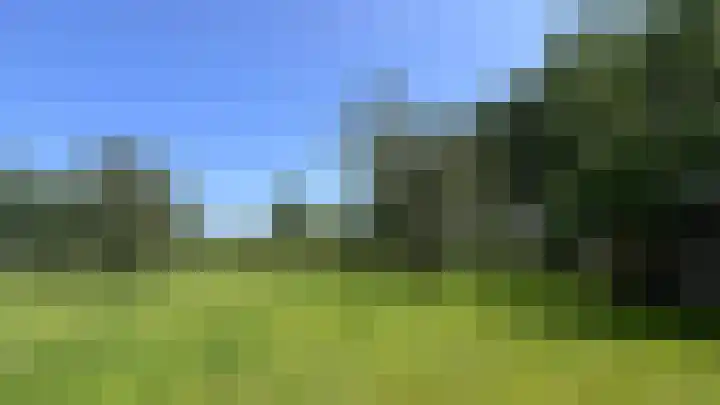 Heide 17 Roggel thumbnail 81