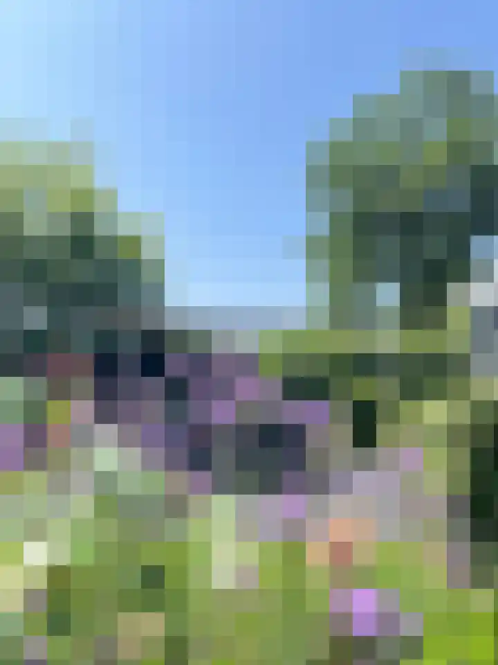 Heide 17 Roggel thumbnail 88