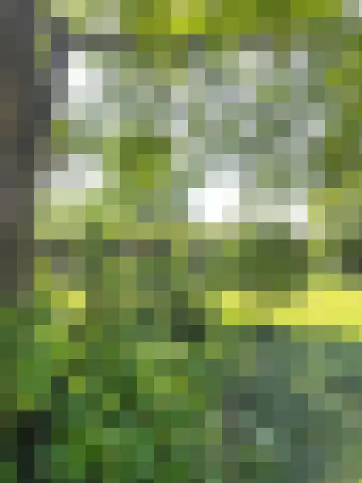 Heide 17 Roggel thumbnail 90