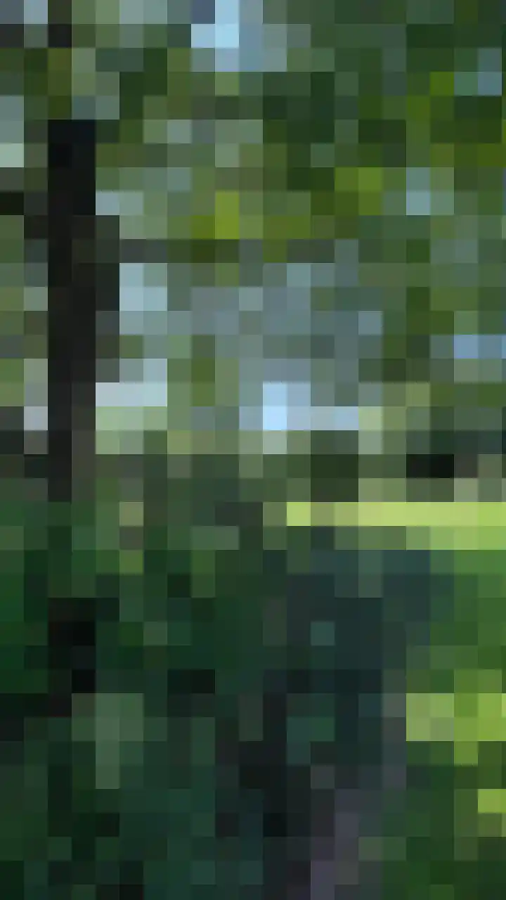 Heide 17 Roggel thumbnail 91