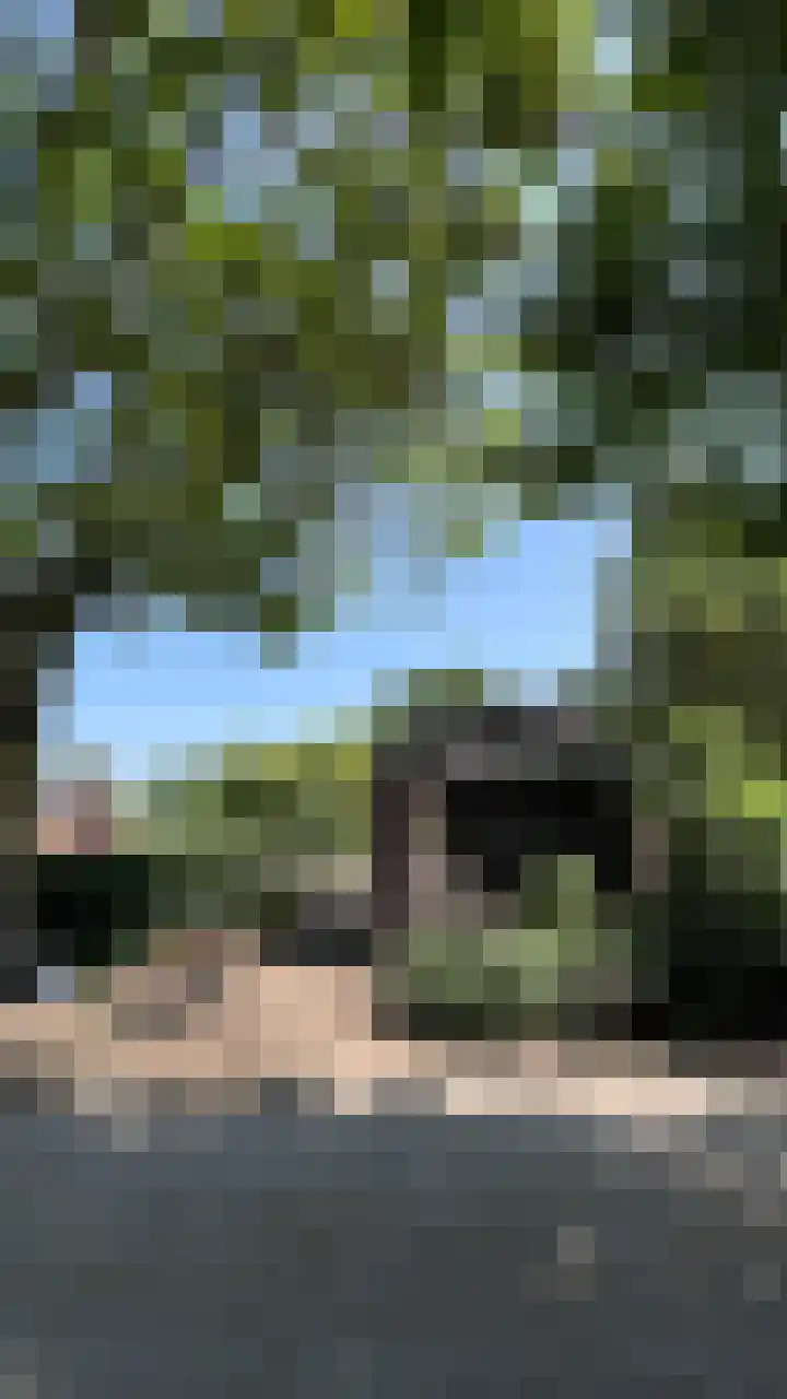 Heide 17 Roggel thumbnail 92