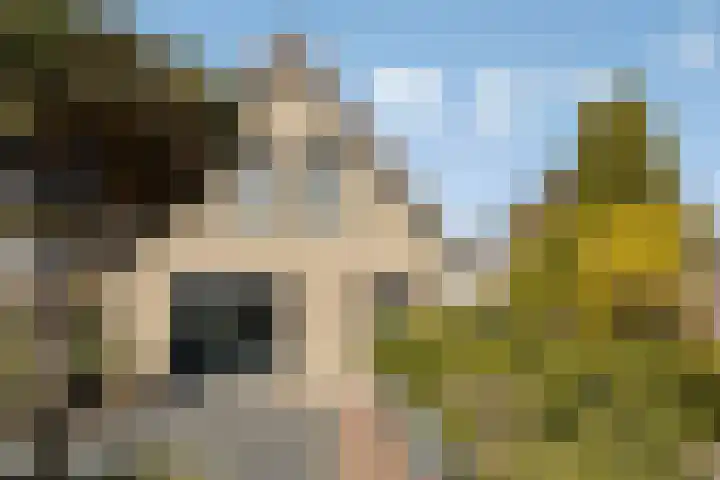Heide 35 Swalmen thumbnail 36