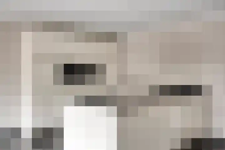 Heide 35 Swalmen thumbnail 6