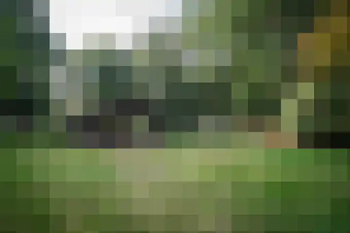 Heidebadweg 24 Epe thumbnail 14