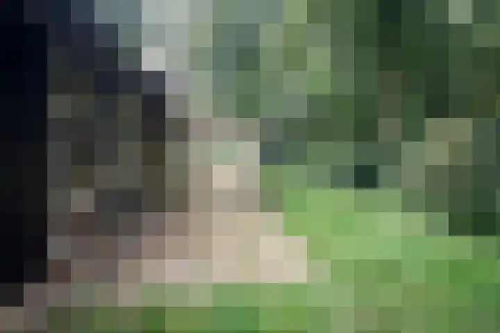 Heidebadweg 24 Epe thumbnail 15