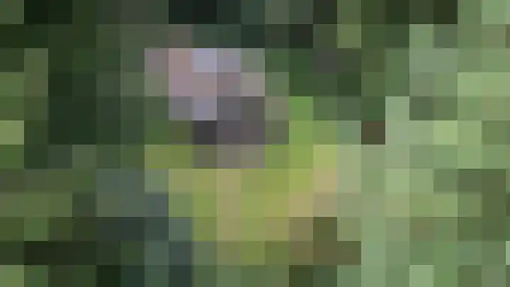 Heidebadweg 24 Epe thumbnail 16