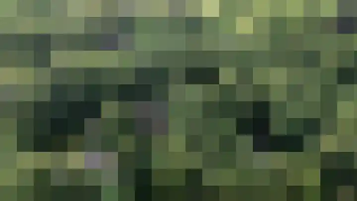 Heidebadweg 24 Epe thumbnail 17